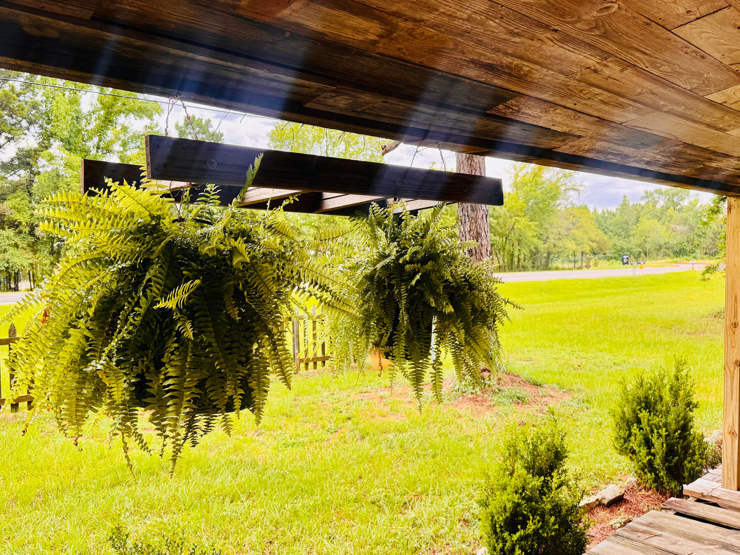 Rustic Double Hanging Plant Ladder